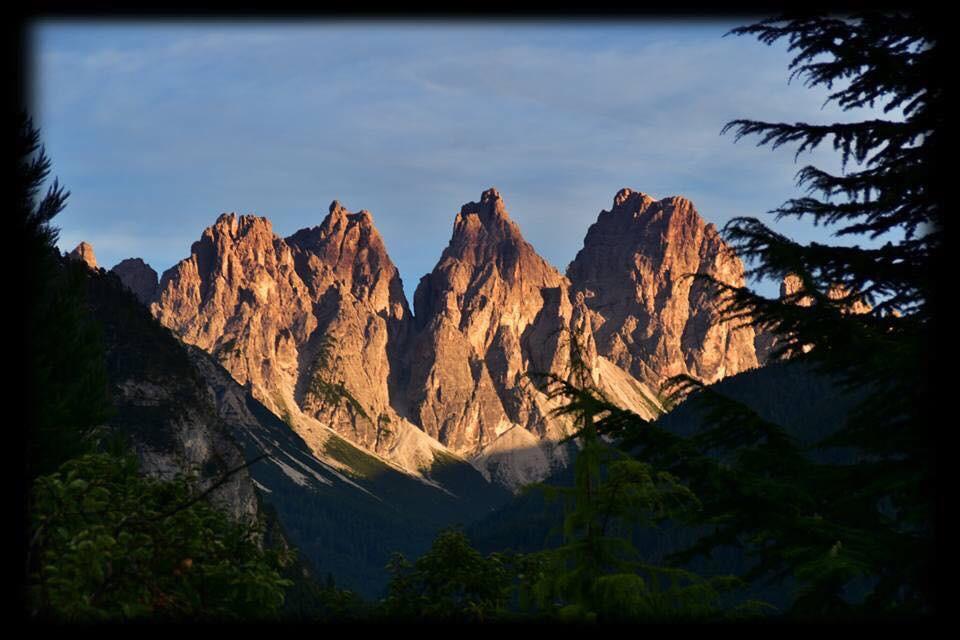 Rossodisera *